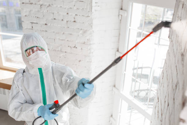 Best Mold Odor Removal Services  in Wantagh, NY