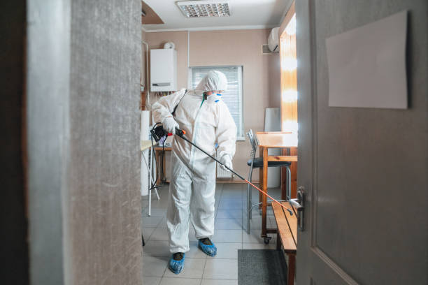 Best Residential Mold Inspection & Testing  in Wantagh, NY