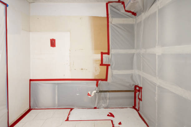 Best Industrial Mold Remediation  in Wantagh, NY