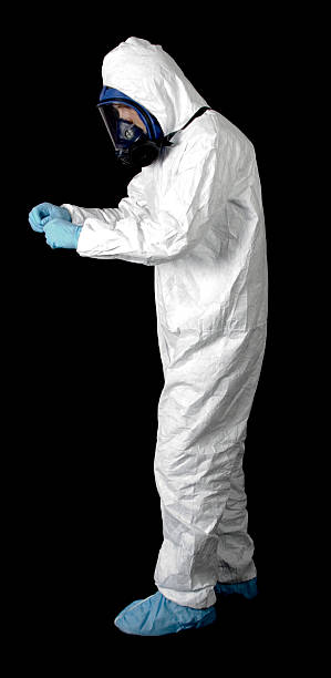 Best Attic Mold Removal  in Wantagh, NY