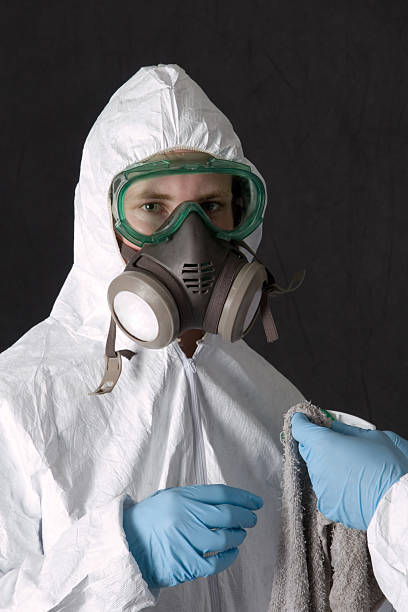 Professional Mold Removal in Wantagh, NY